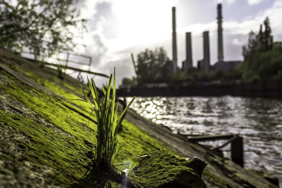 Gras am Flussufer mit Industrie im Hintergrund als Motiv für Transformation