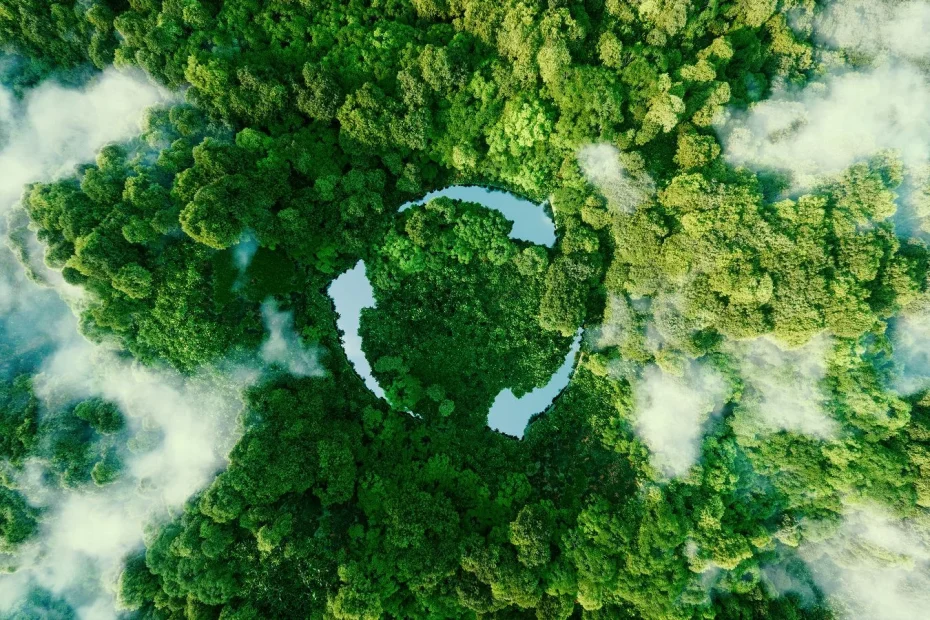 Symbolisches Luftbild eines Kreislaufs in einer grünen Waldlandschaft