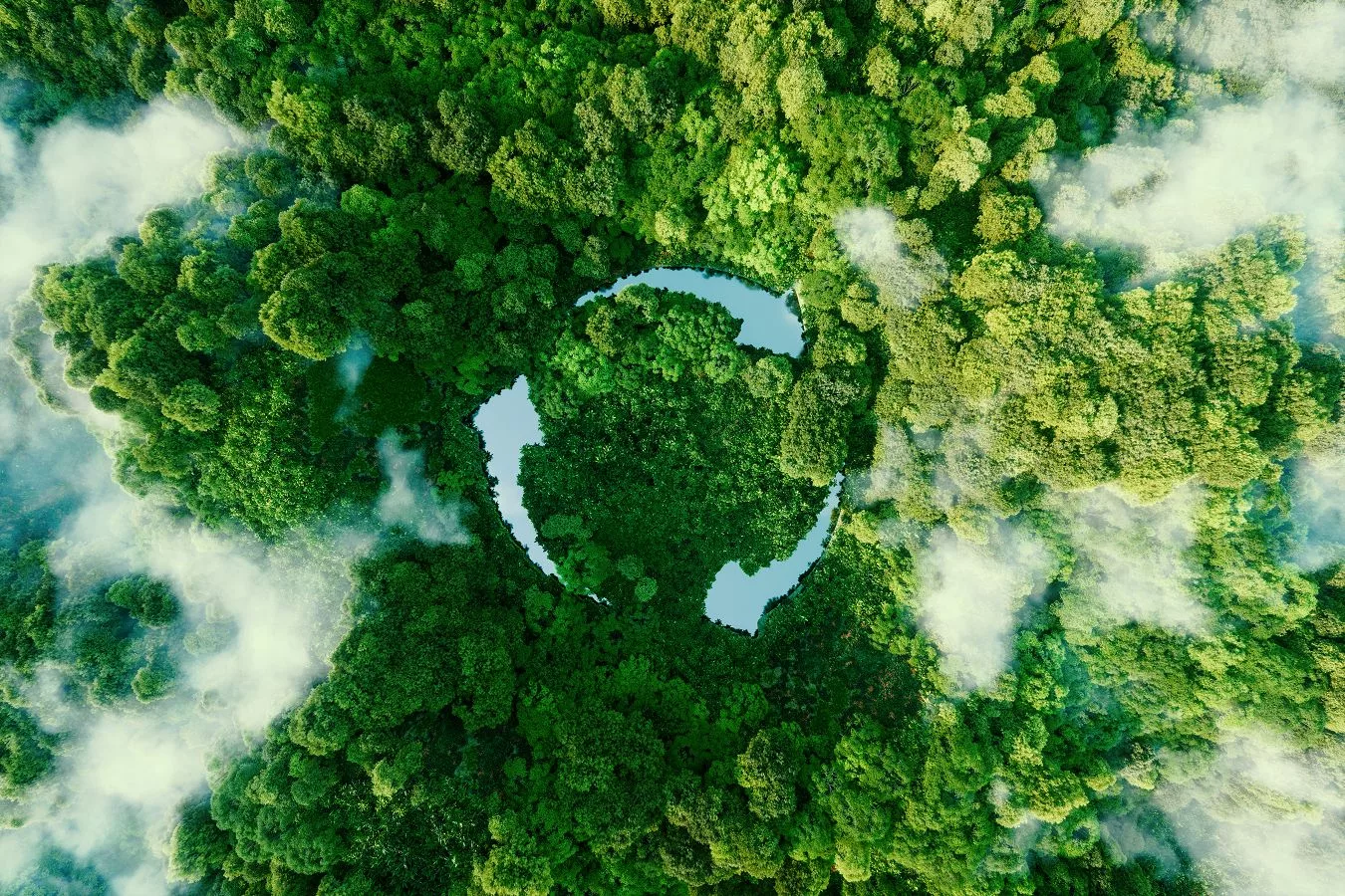 Symbolisches Luftbild eines Kreislaufs in einer grünen Waldlandschaft